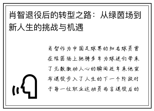 肖智退役后的转型之路：从绿茵场到新人生的挑战与机遇