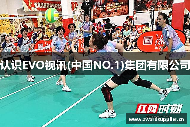 认识EVO视讯(中国NO.1)集团有限公司